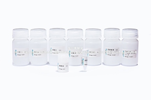 BIOG去内毒素中大量质粒提取试剂盒,菌液质粒DNA去内毒素提取纯化