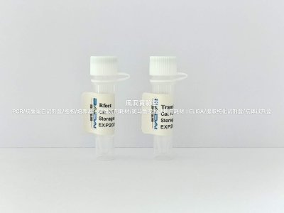 RFect DNA活体组织转染试剂，专用活体动物组织和脏器DNA介入转染