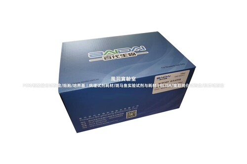 BCIP/NBT显色试剂盒,DNA/RNA印迹杂交/蛋白印迹/原位杂交/IHC显色