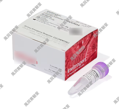 Invitrogen™Lipofectamine™RNAiMAX转染试剂，用于基因敲低实验