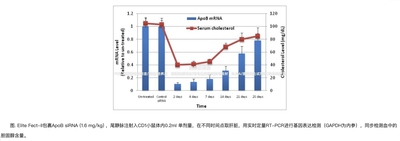 Elite Fect-II小核酸体内转染试剂盒,转染小分子RNA/DNA,仅供科研