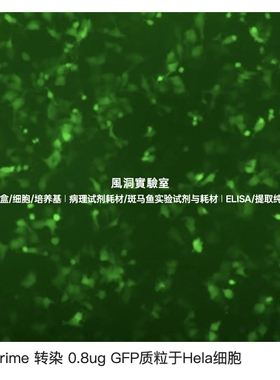 RFect Prime核酸转染试剂盒，高效转染质粒DNA/mRNA/siRNA/mimics