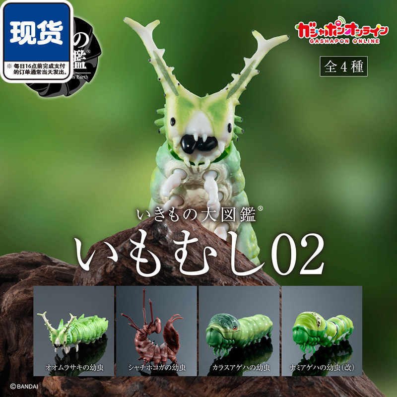 生物大图鉴毛毛虫2扭蛋 万代正版 蚕 夹竹桃天蛾幼虫模型 现货