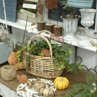 爱上花园 椭圆双提把小藤篮纯手工藤编小篮子（不周正）