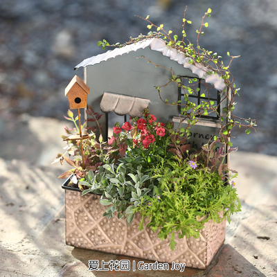 爱上花园家居阳台花园杂货 铁皮做旧复古粉花房小屋房子花盒花盆