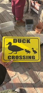 爱上花园丨园艺杂货 花园庭院装饰鸭子牌子