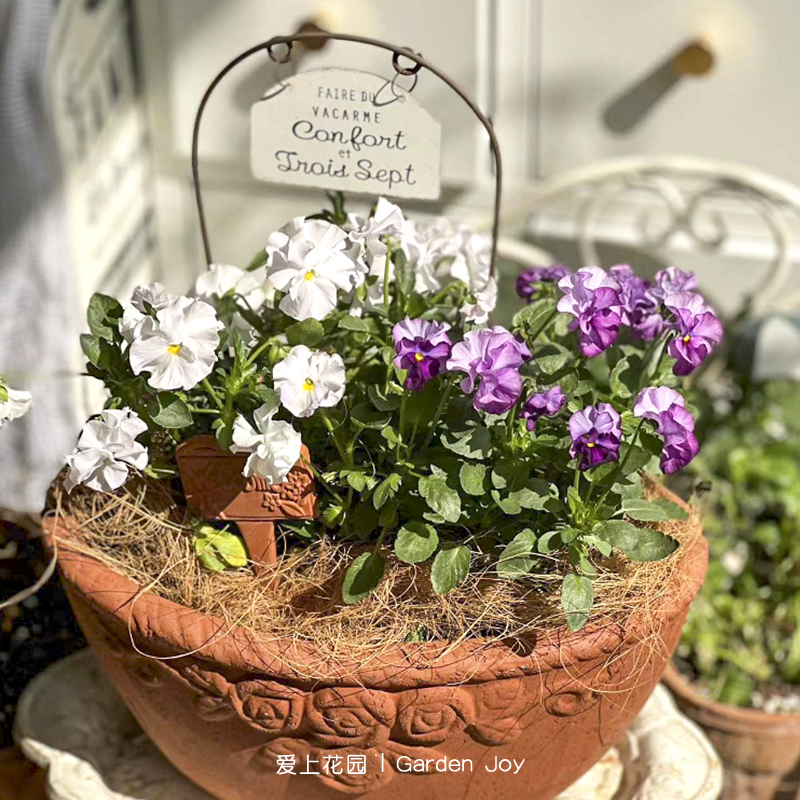 庭院花园花盆配件花插