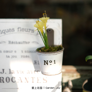 铁皮花盒铁艺做旧花盆 园艺杂货 爱上花园 迷你勺子壁挂盆NO1