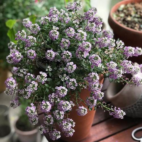 （徐州以北需要拍暖宝宝）