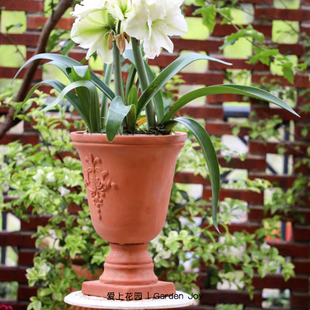 爱上花园红陶陶盆陶缸粗制花盆盆器透气园艺阳台大盆粗陶奖杯盆