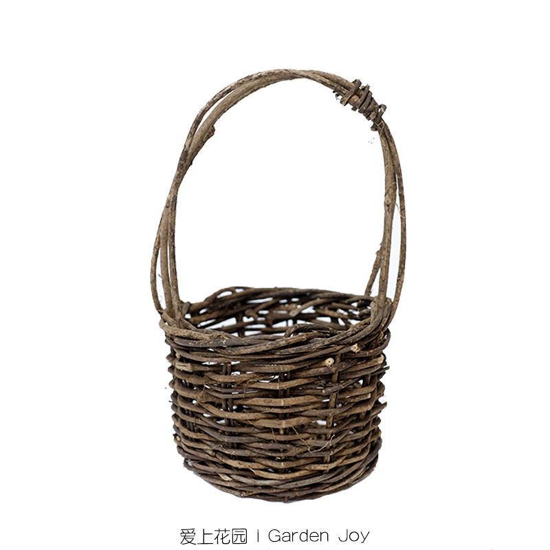 庭院花园草花套盆野山藤