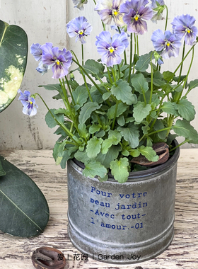 爱上花园|园艺杂货铁艺做旧铁皮花盒 马口铁安娜同款直筒花盆Pour