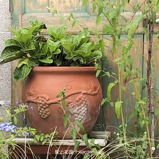爱上花园 罗马柱 葡萄方口盆粗制红陶花盆器陶盆陶缸透气乡村