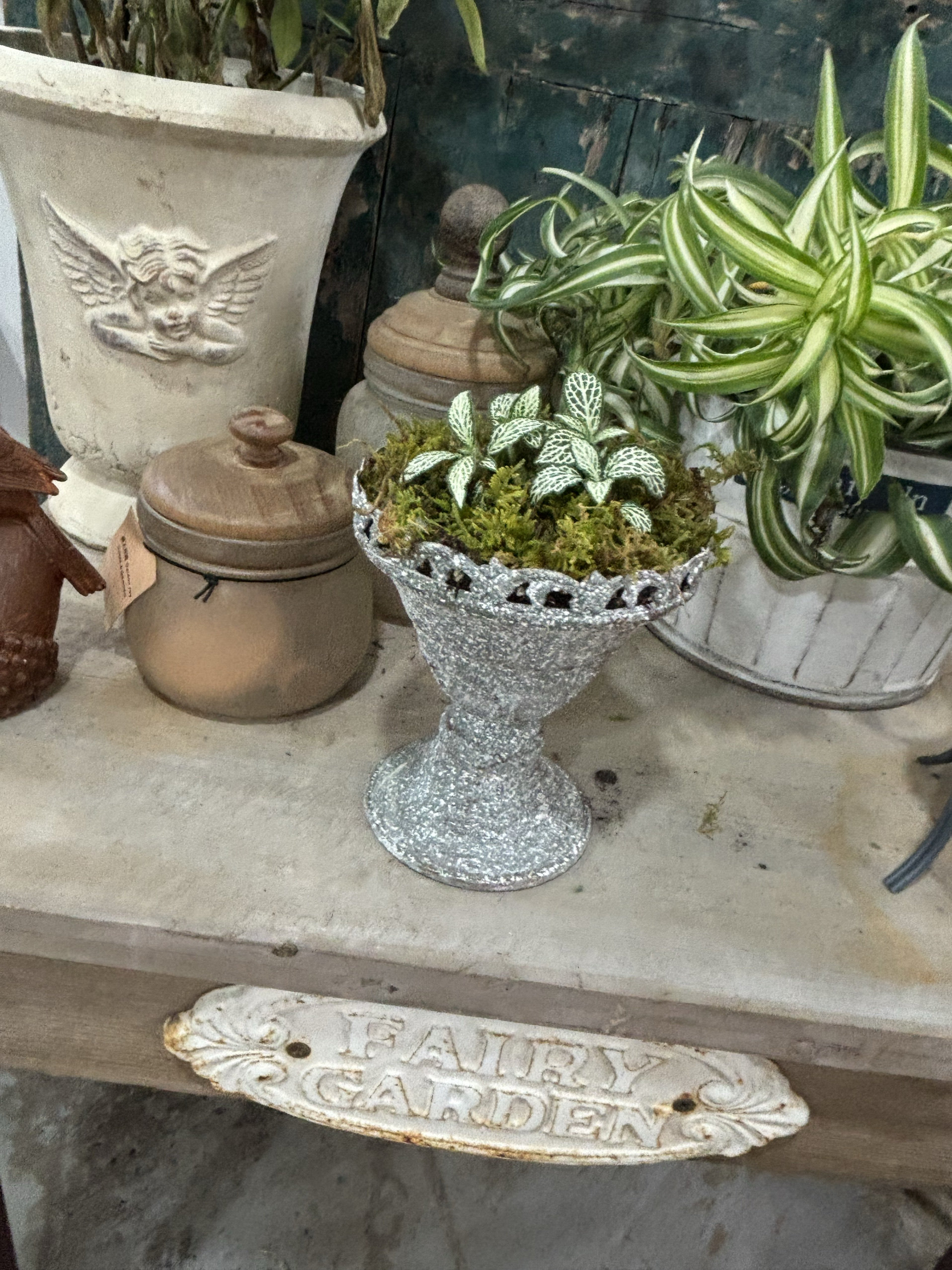 爱上花园 园艺杂货 花园做旧装饰做旧花盆铁皮迷你冰淇淋酒杯奖杯,鲜花速递/花卉仿真/绿植园艺,其它园艺用品,淘宝优惠券,粉丝福利购,淘宝优惠卷