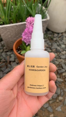 爱上花园|杂货 花园室内 胶水 陶盆瓷器铸铁修补