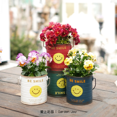 爱上花园文艺花盒花盆田园