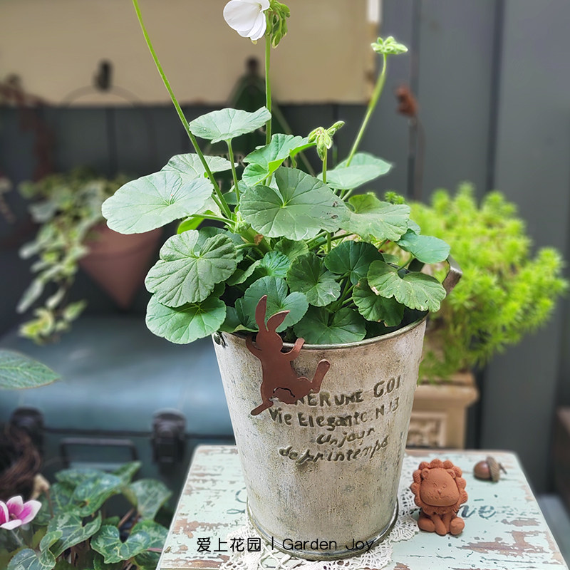 铁皮田园日系园艺杂货