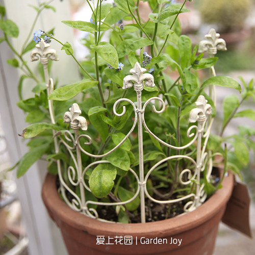 爱上花园围栏栅栏爬藤架庭院户外铁艺植物爬藤架支撑架栅栏88