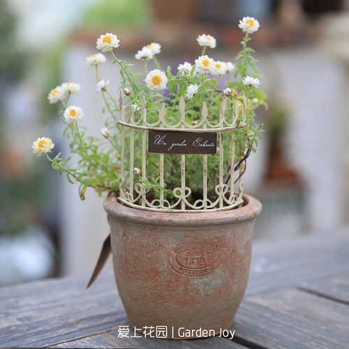 爱上花园铁艺做旧迷你栅栏花插一口价