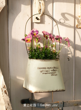爱上花园 园艺YM薄铁皮易变形 铁艺方底圆口吊盆BONNE NOUVELLE
