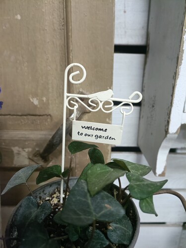 爱上花园 栅栏迷你小鸟铁牌花插  随单包邮