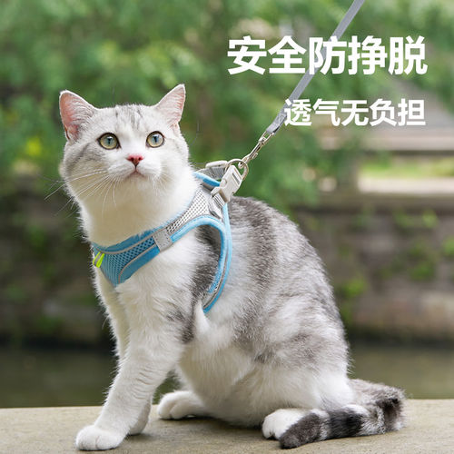 「宠生活」猫咪牵引绳防