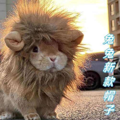 「宠生活」兔子帽子小狮