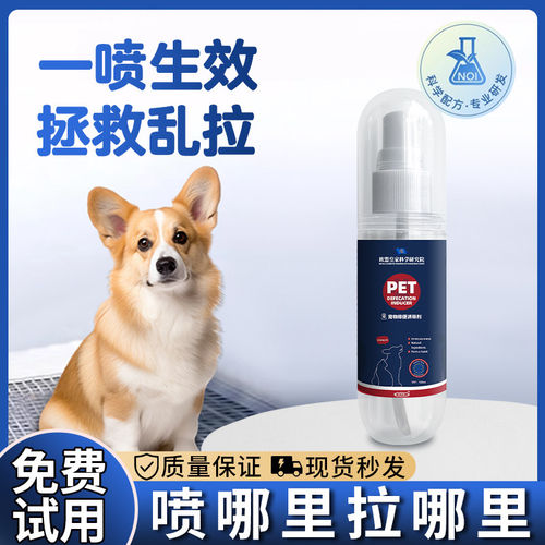 「宠生活」狗狗上厕所诱