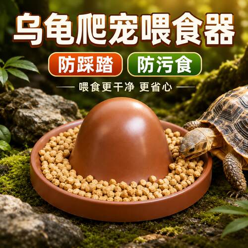 「宠生活」乌龟爬宠喂食
