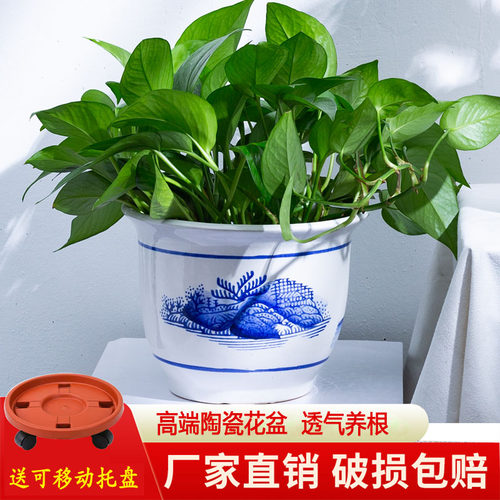 陶瓷中国风植物花卉桌面落地花盆