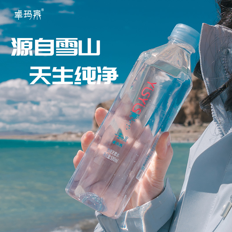 一生一水PET瓶装500ml*12瓶