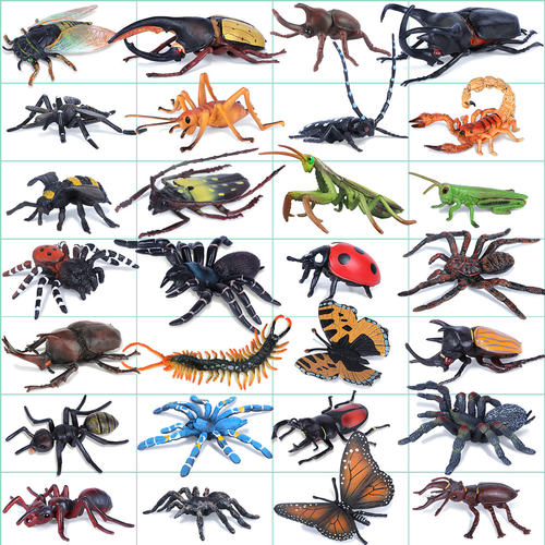 儿童仿真昆虫模型动物独草蜢七星