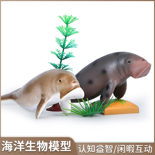 仿真南海牛儿童科教认知礼物动物