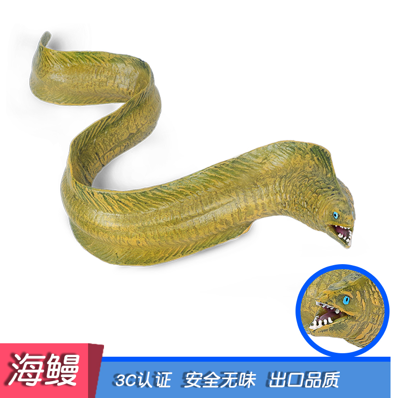 仿真海洋生物模型海鳗玩具电鳗