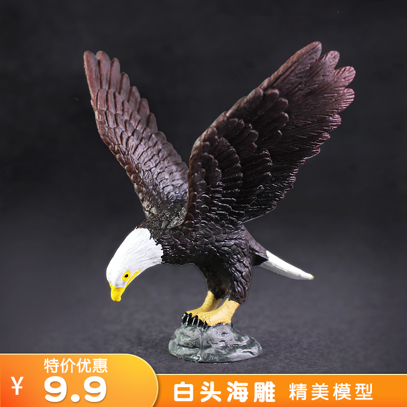 仿真野生动物老鹰模型白头海雕鸟类玩具塑料科教认知