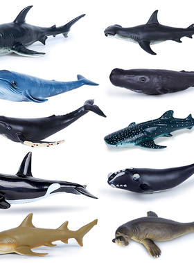 仿真软胶海洋动物世界模型蓝鲸鱼锤头鲨鱼海龟儿童玩具白鲸海豹豚