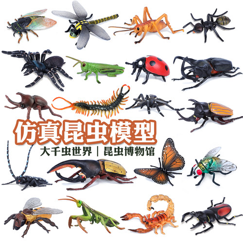 儿童仿真昆虫模型动物独草蜢七星