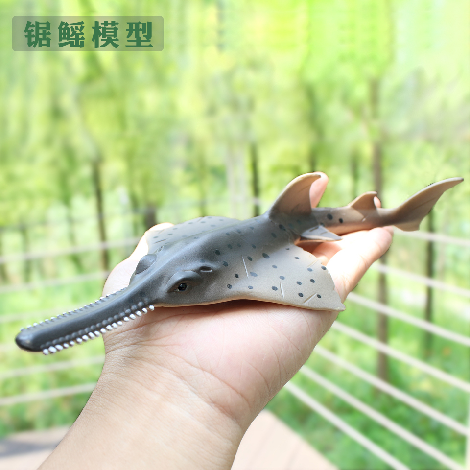 锯鳐实心塑料儿童认知海洋生物