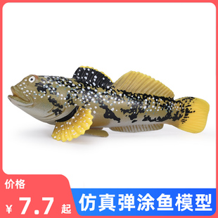仿真海洋生物模型弹涂鱼玩具虾虎鱼儿童科教认知礼物摆件塑料
