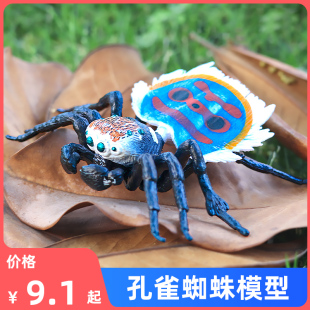 仿真昆虫模型孔雀蜘蛛玩具实心逼真科教认知礼物摆件
