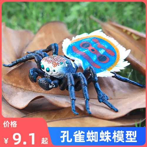 仿真孔雀蜘蛛塑胶模型玩具