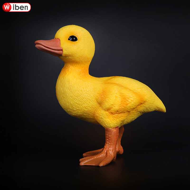 野生动物大号黄鸭家禽儿童认知