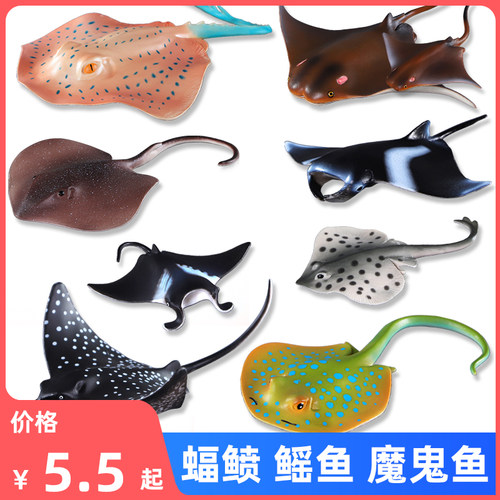 仿真海洋生物总动员男孩科教鱼
