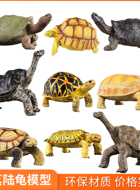 仿真动物模型陆龟玩具加拉帕戈斯象龟两栖塑料儿童科教认知摆件