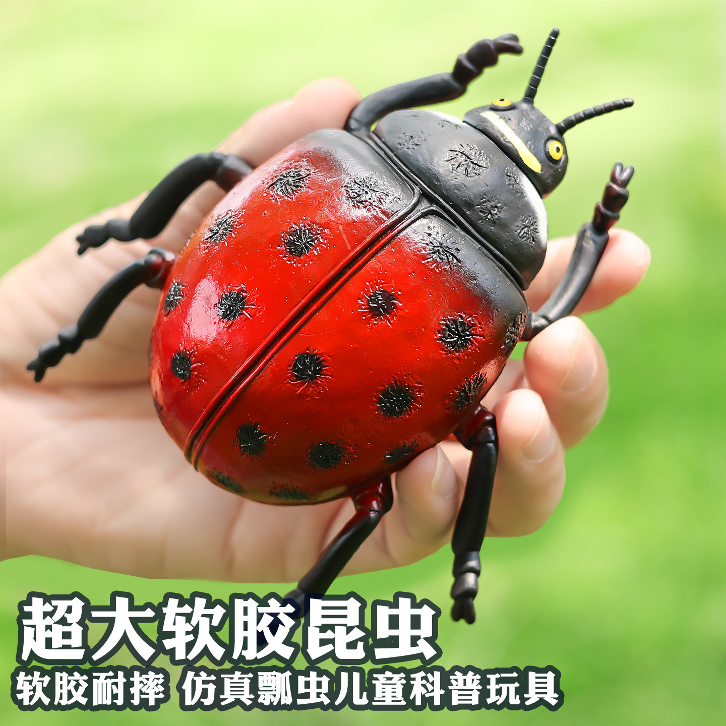 仿真昆虫模型七星瓢虫玩具蜘蛛蜻蜓蝎子西数蝗虫大号儿童科教礼物