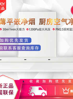 统帅V1G懒人抽油烟机燃气灶烟机
