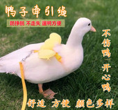 遛鸭子绳胸背带式 牵引绳子小鸡绳宠物鹅用品夏季 网红柯尔鸭牵引绳