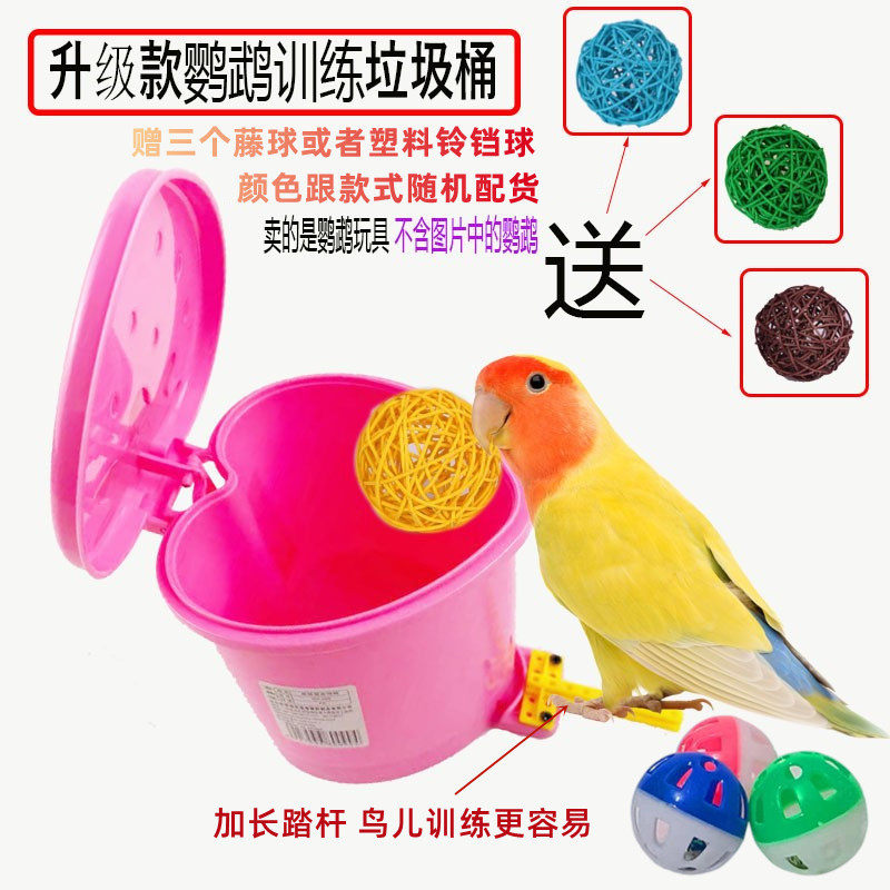 鹦鹉玩具用品牡丹玄风鹦鹉鸟玩具益智技能训练用具道具垃圾桶,宠物/宠物食品及用品,鸟玩具,淘宝优惠券,粉丝福利购,淘宝优惠卷