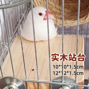 鹦鹉鸟实木站台跳台休息站架玩耍平台木板鸟笼用品装饰玄凤虎皮