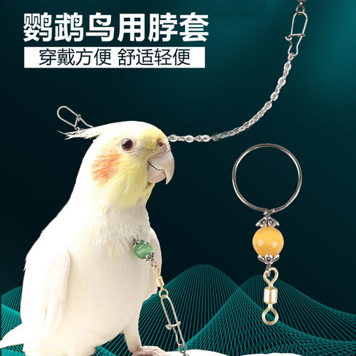 鹦鹉脖套不锈钢材质玄凤牡丹虎皮